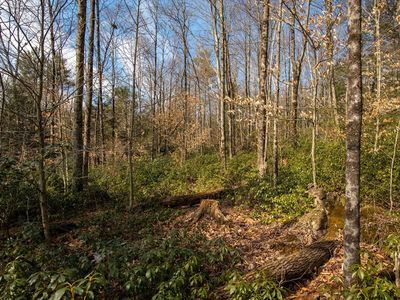 115 Lyon Hill Rd, Chester, MA, 01011