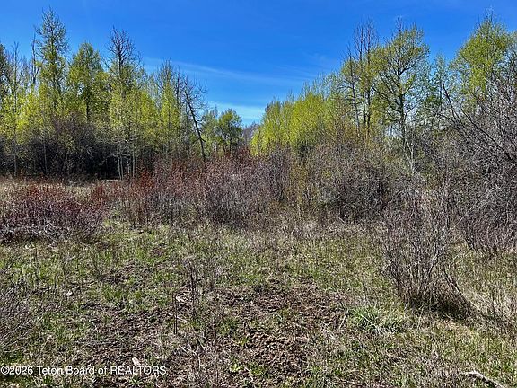 3rd image of 843 Woodland Way