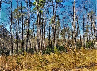 0 Wren Ln, Pickens, SC 29671