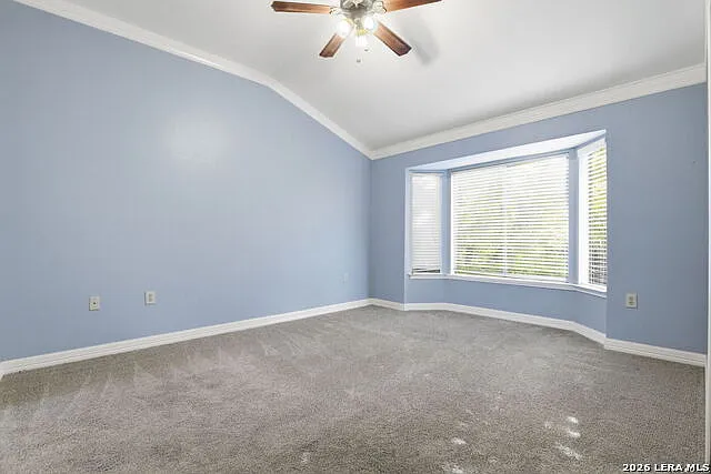 6915 Raintree Frst — Photo 20