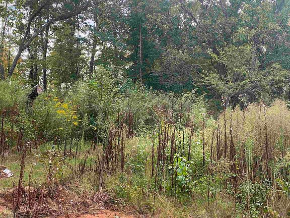 2nd image of 0 Burns Rd