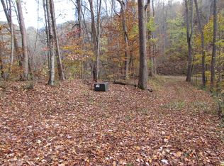 39 Red Wolf Run, Mars Hill, NC 28754