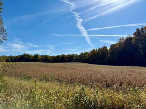 1241 County Line Rd #8, Fulton, NY 13069