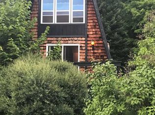 05769 Springvale Rd, Boyne Falls, MI 49713