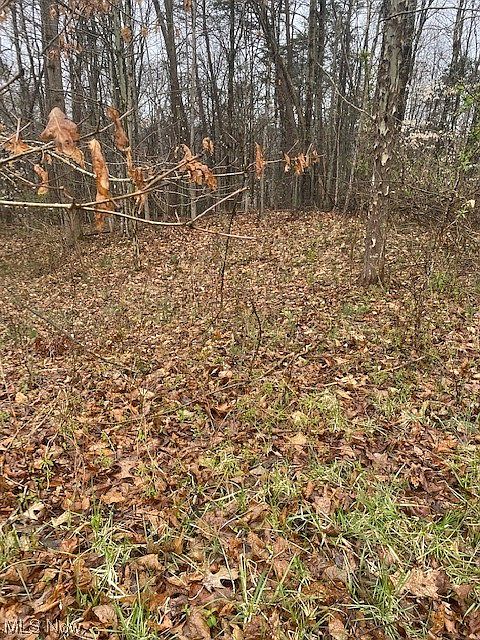 2nd image of 0 Progress Ridge Rd