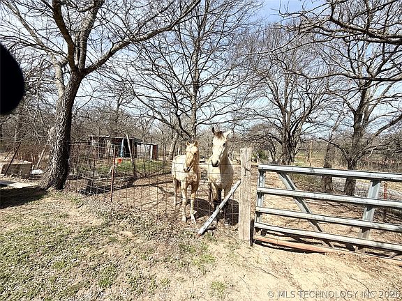 4th image of 10447 Meridian Rd