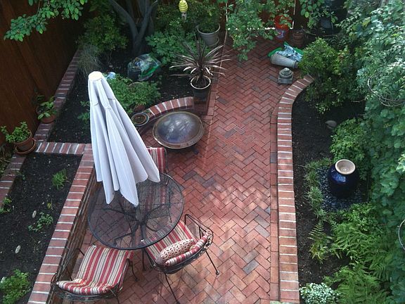 Back garden