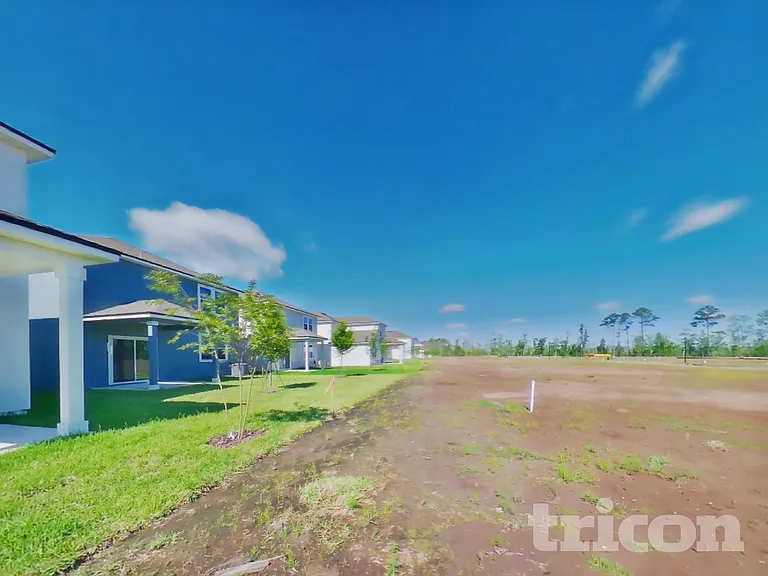 64 Brazil Nut Cir — Photo 15