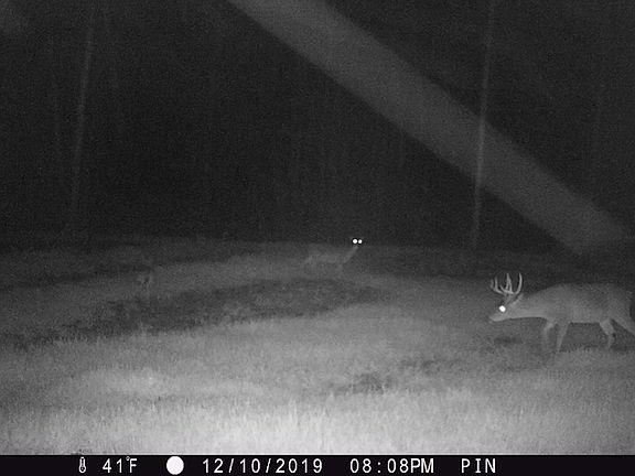 5th image of 651 Highway 497