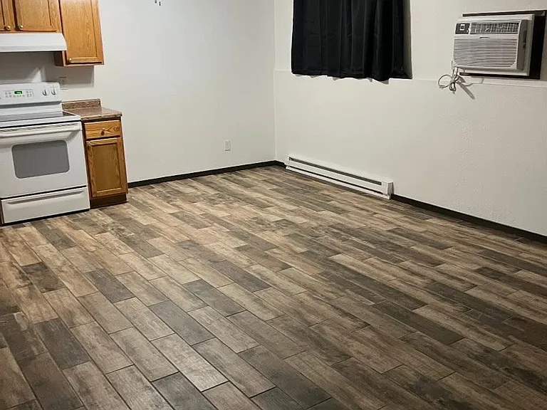 Dining Area / Living Area