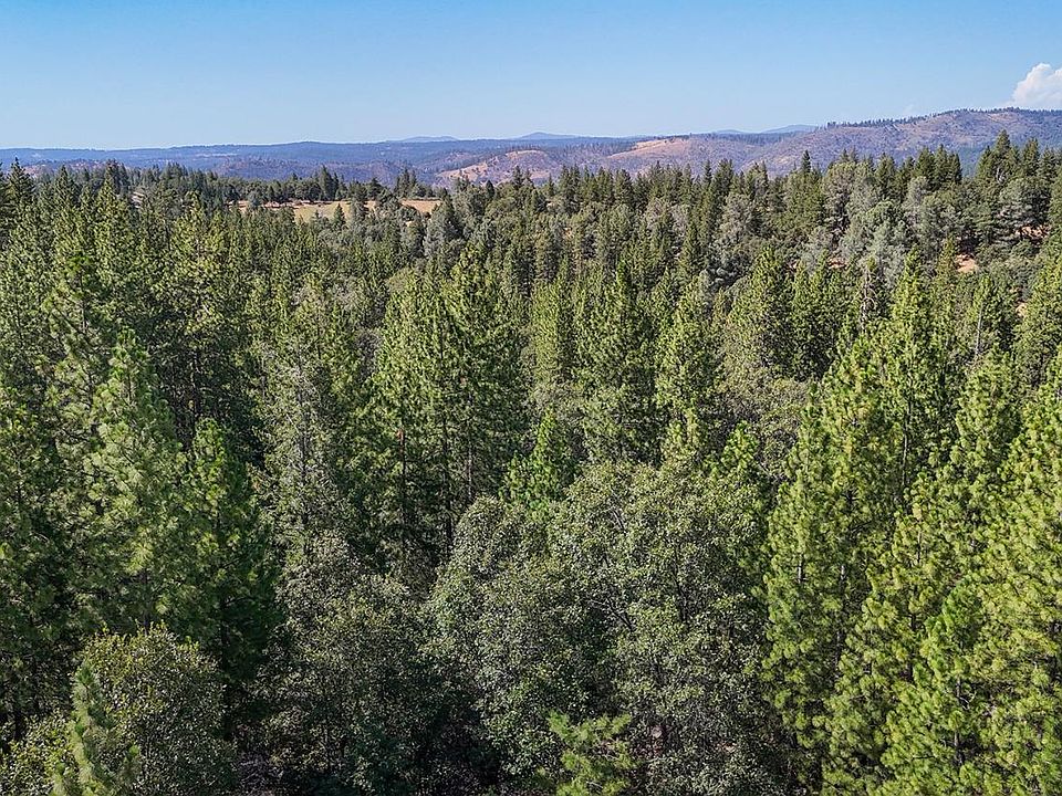 1st image of Grizzly Flat Rd