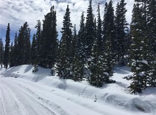 133 Silverheels Pl, Fairplay, CO 80440