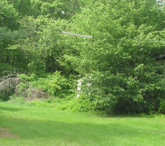 124 Pergola Ave, Monroe, NJ, 08831