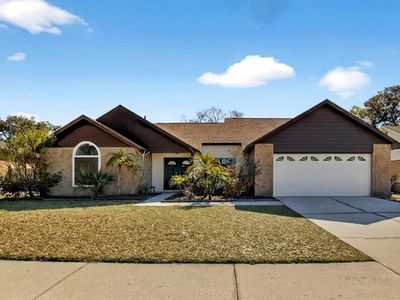 4207 Spring Way Cir, Valrico, FL, 33596