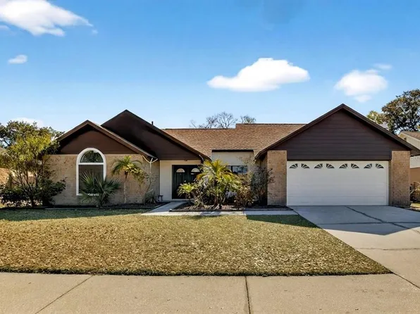 4207 Spring Way Cir, Valrico, FL 33596