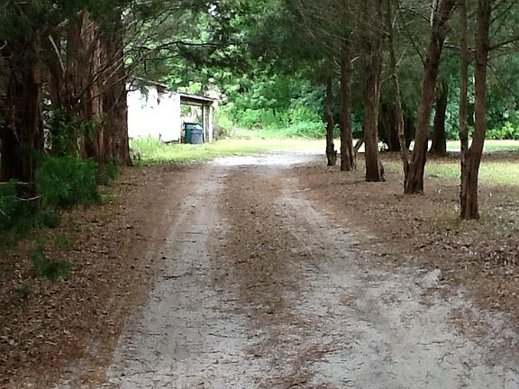 Tree-Lined Driveway