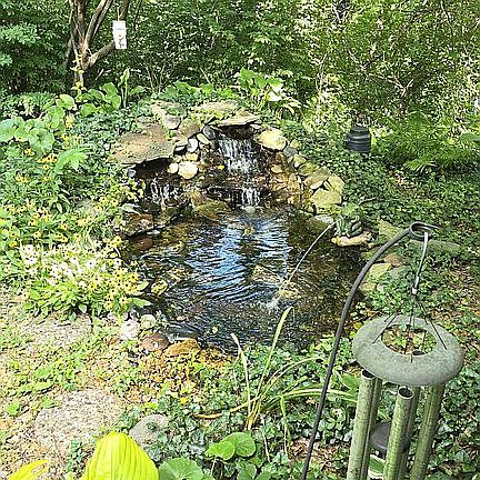 Waterfall & Pond