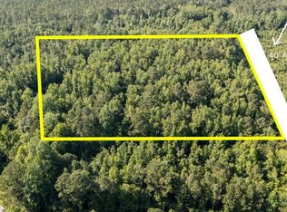 1111 Andermora Rd, Maple Hill, NC 28454