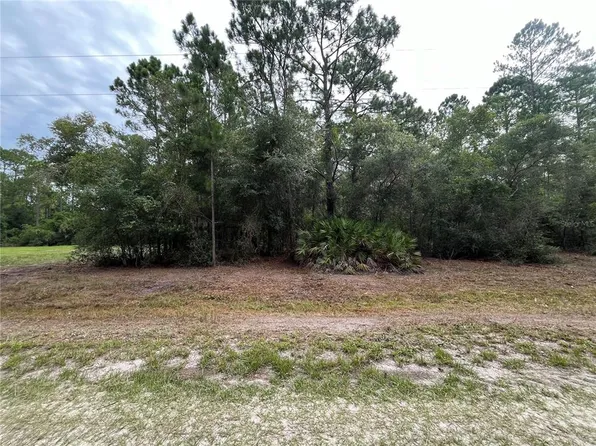 124 Glenside St Lot 103, Georgetown, FL 32139
