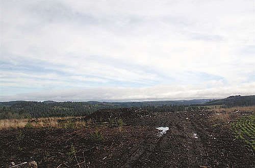 2nd image of 97000 Grandview Marion