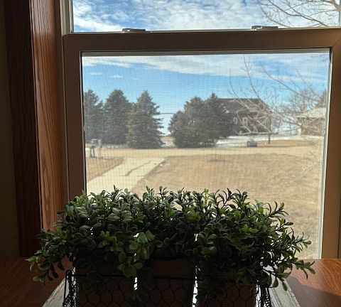 View of Lake Poinsett from kitchen window