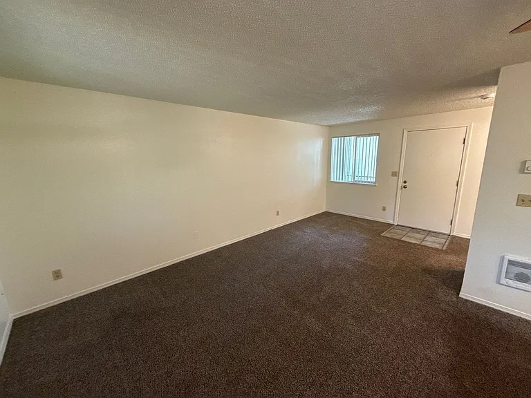 The Firs Apartments — Photo 19