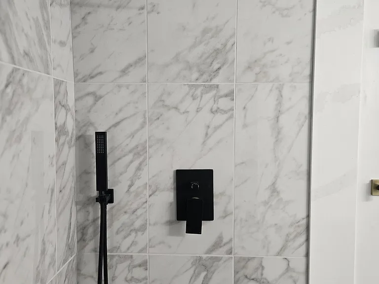 Primary Shower