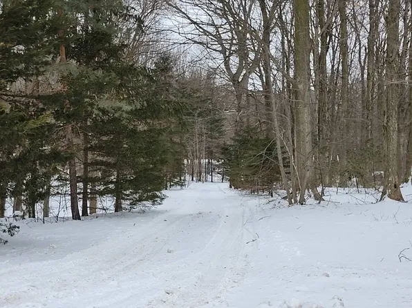 4696 Patterson Rd, Middleville, MI 49333