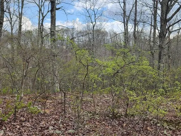 Id41 Greenbriar Ct, Holladay, TN 38341