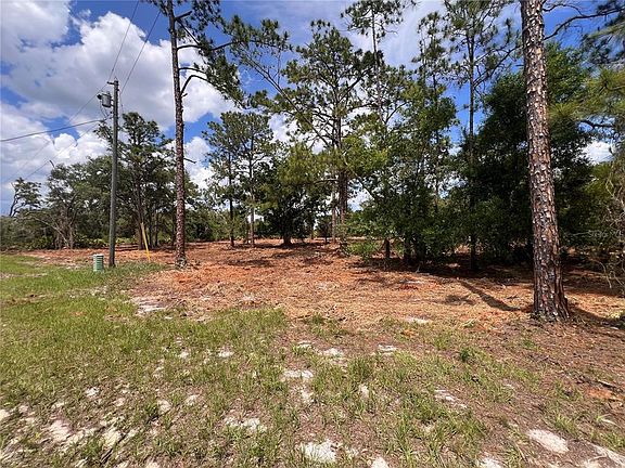 3rd image of Deer Rd #87