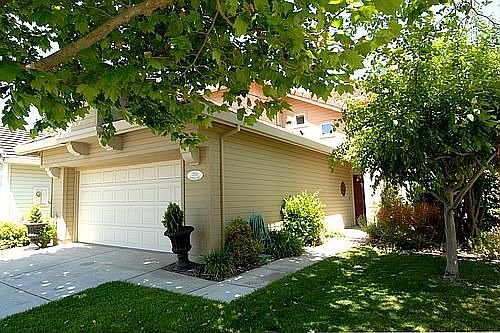 Quiet tree lined street