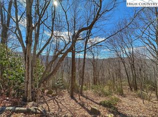 105 Raccoon Rd, Banner Elk, NC 28604