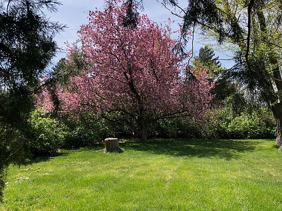 Front yard last June