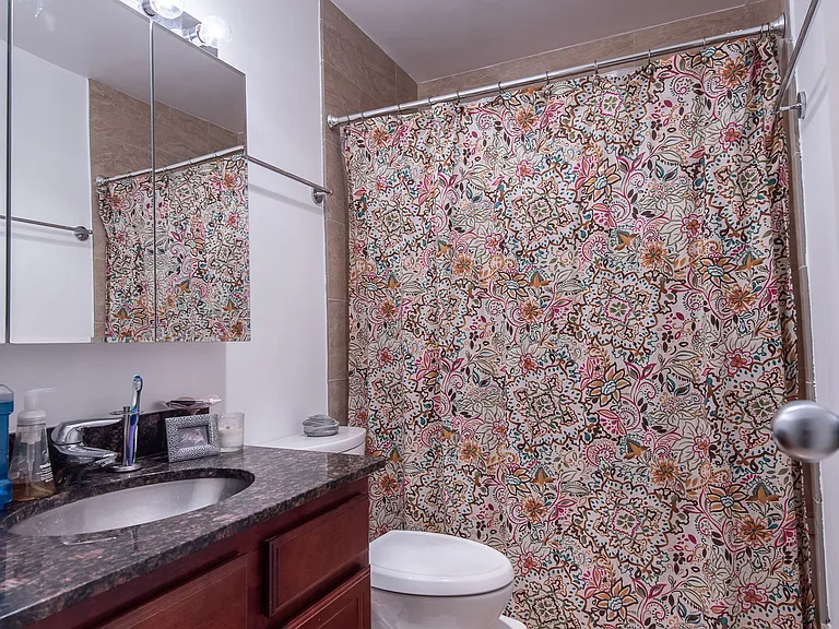525 W Hawthorne Pl #2704 — Photo 7