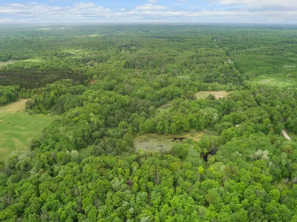 12 Mile Rd, Big Rapids, MI 49307