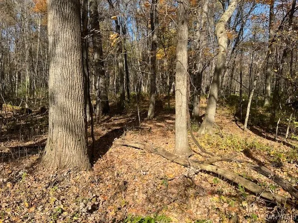 LOT 2 Armor Duells Rd, Orchard Park, NY 14127