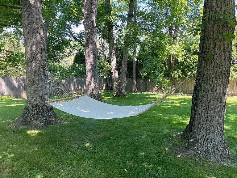 Peaceful hammock under a leafy canopy.