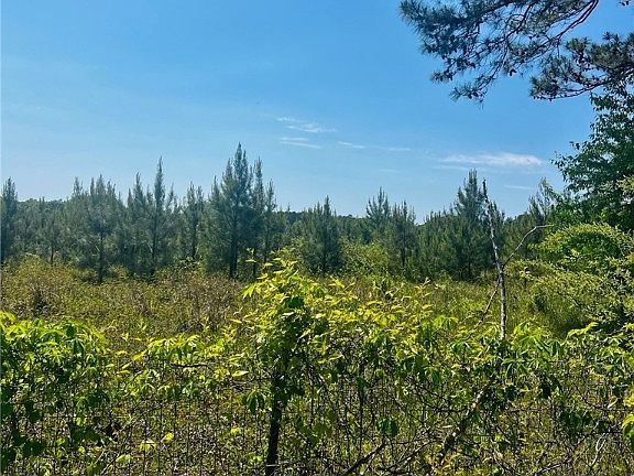 5th image of 12977 Lee Road 72