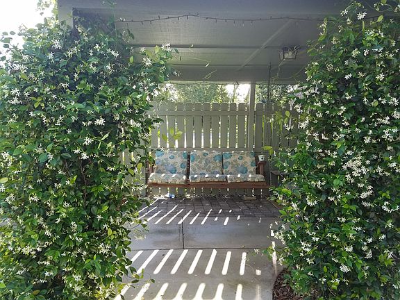 When the jasmine is in bloom