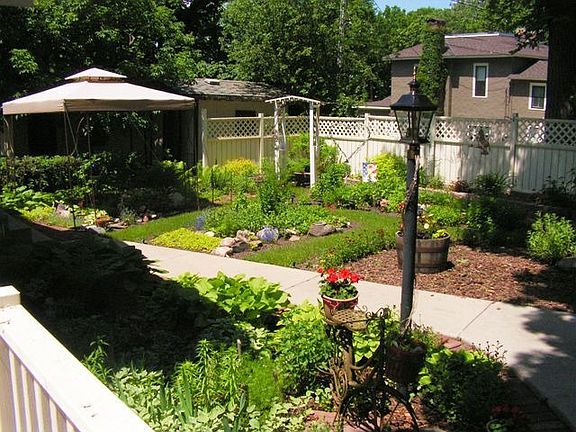 Beautiful Back Yard