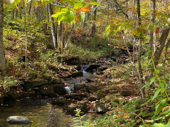 00 Spring Lake Road, Shrewsbury, VT 05738