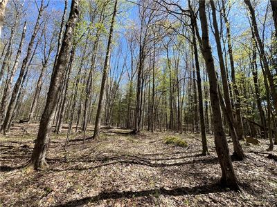 Cedar St #46, Lowville, NY, 13367