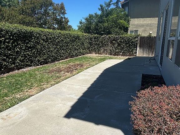 Back yard