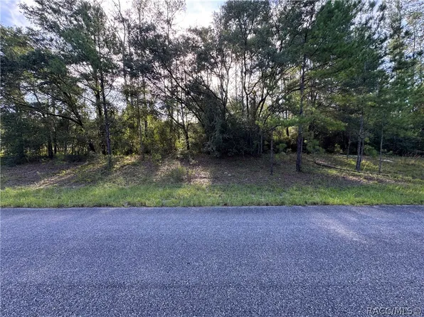1273 E Toledo Dr, Citrus Springs, FL 34434