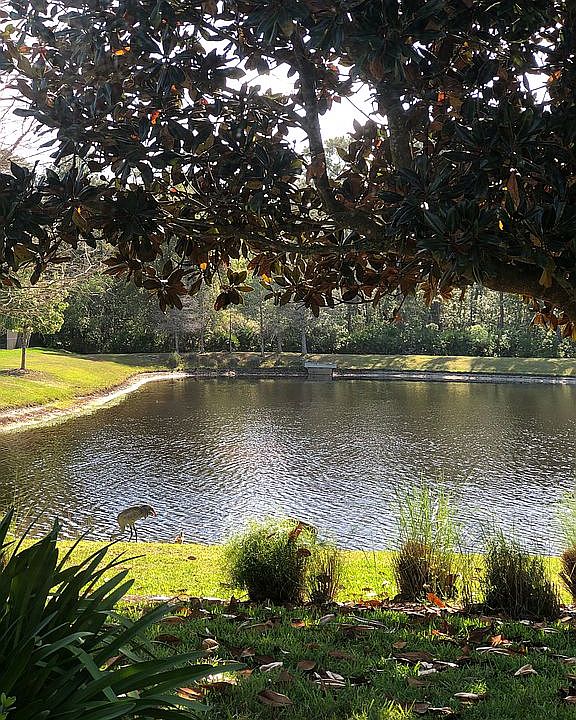 2nd image of 606 Heron Point Way