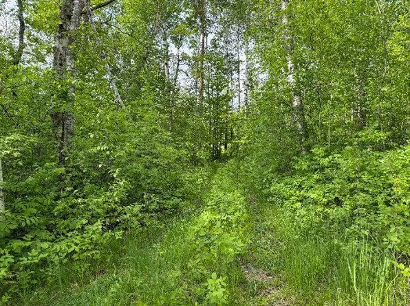 County Road 141, Detroit Lakes, MN 56501