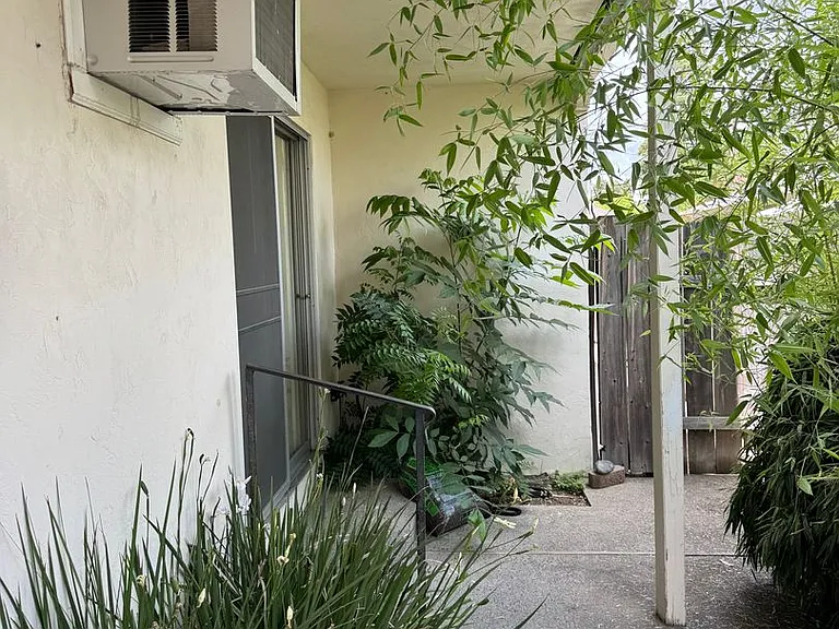Walnut 409 W — Photo 12