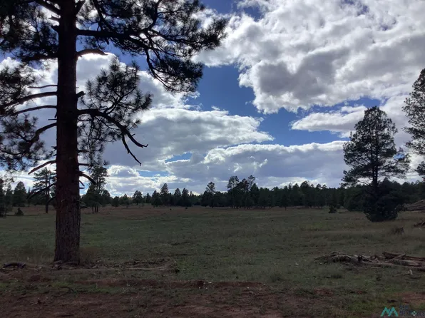 31 Tampico Springs Rd, Fort Wingate, NM 87316