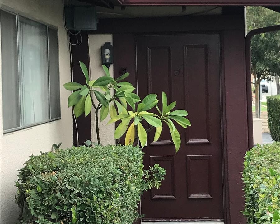 1st image of 1103 W Calle Del Sol APT 3