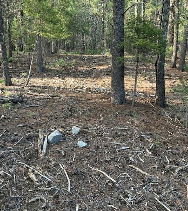 2nd image of Woodchuck Ln
